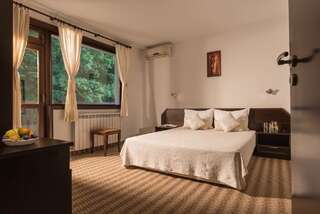 Отель Family Hotel Bile Бели-Осым Двухместный номер с 1 кроватью или 2 отдельными кроватями, вид на горы-1