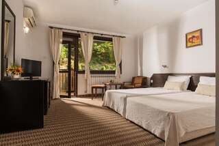 Отель Family Hotel Bile Бели-Осым Двухместный номер с 1 кроватью или 2 отдельными кроватями, вид на горы-9